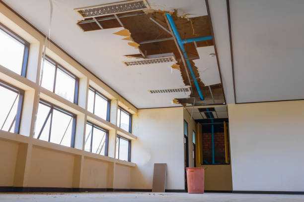 Best Local water damage restoration  in Oakwood, PA