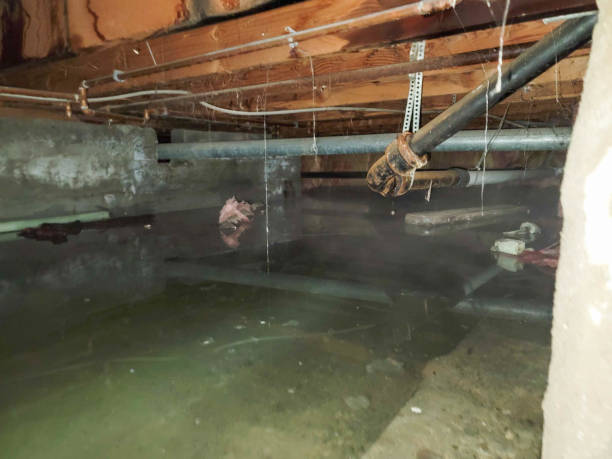 Best Emergency water damage restoration  in Oakwood, PA