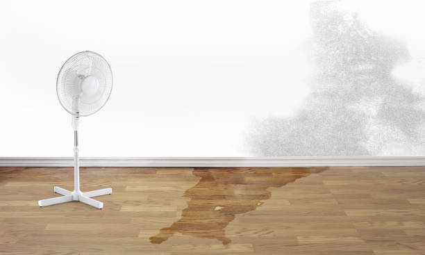 Best Fire Damage Restoration  in Oakwood, PA