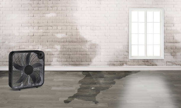 Best Commercial water damage restoration  in Oakwood, PA