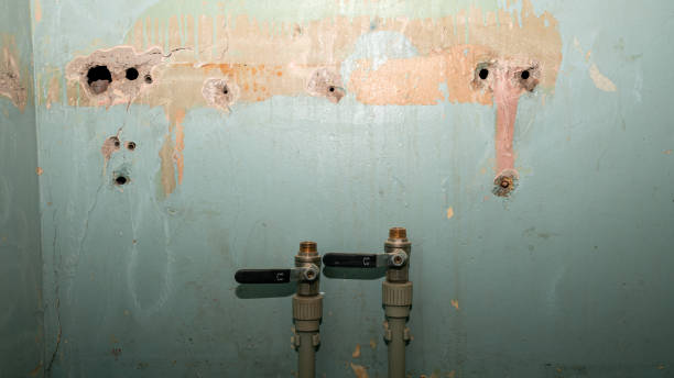 Best 24-hour water damage restoration  in Oakwood, PA