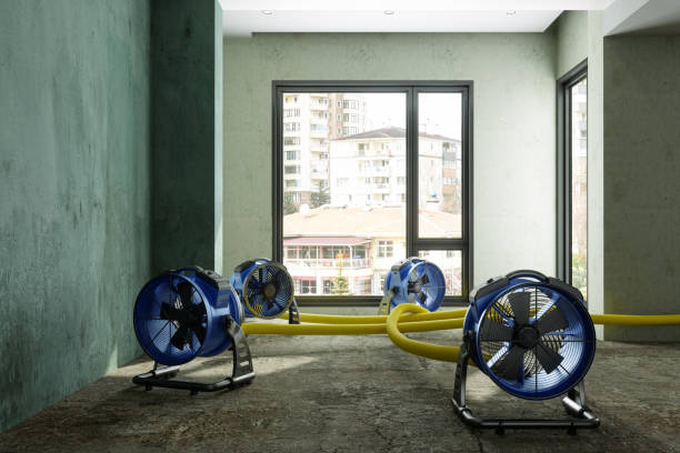 Best Professional water damage repair  in Oakwood, PA